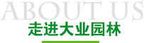 走进欧亿体育